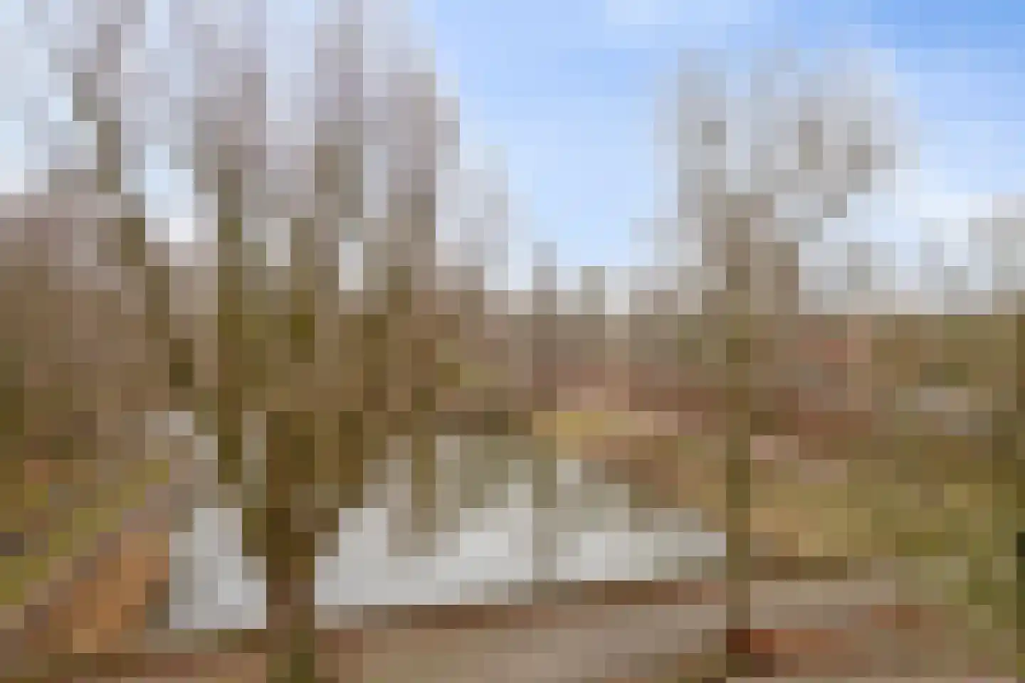 Het Hoogt 4 Amsterdam thumbnail 6