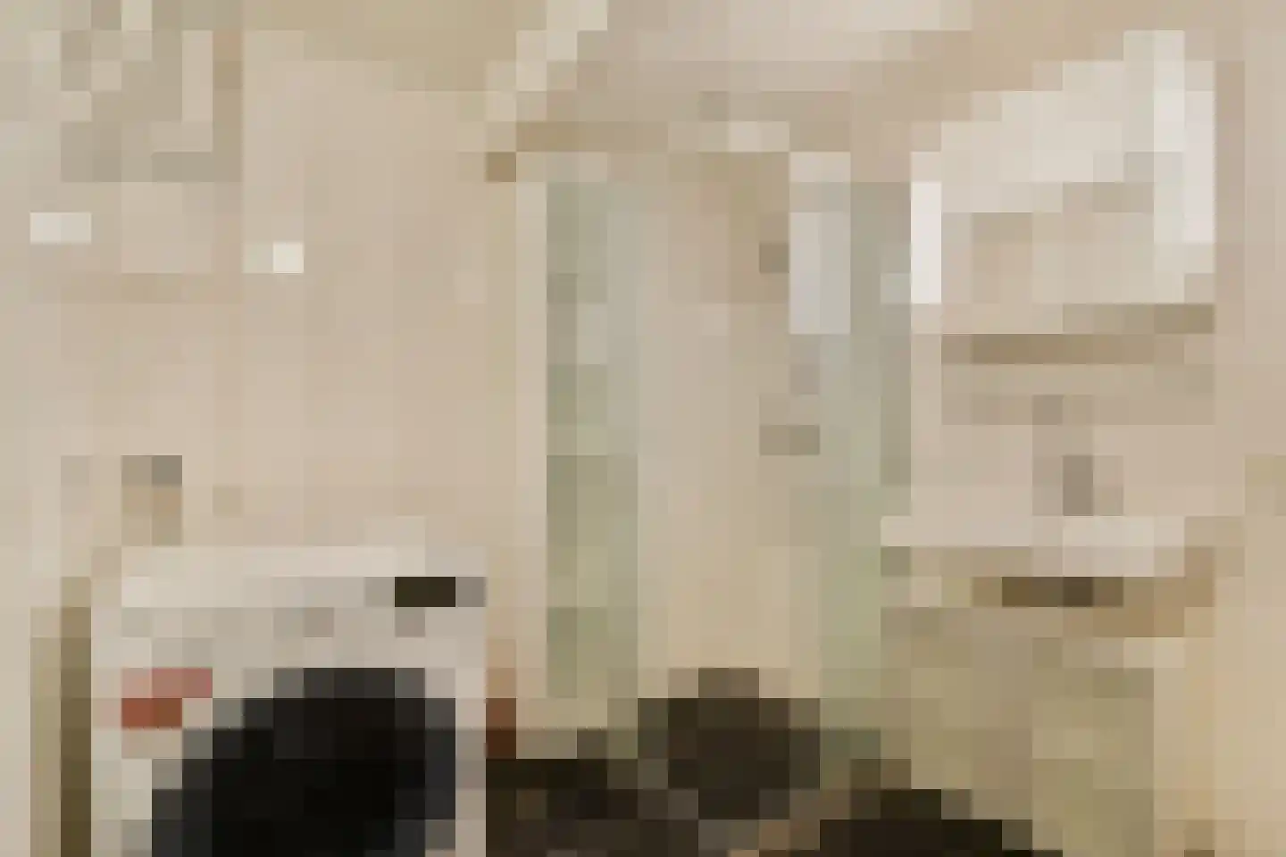 Het Hoogt 454 Amsterdam thumbnail 19