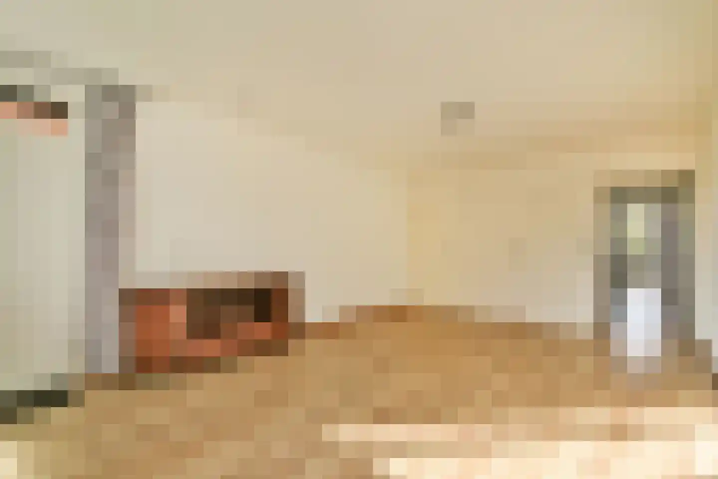 Het Hoogt 454 Amsterdam thumbnail 7