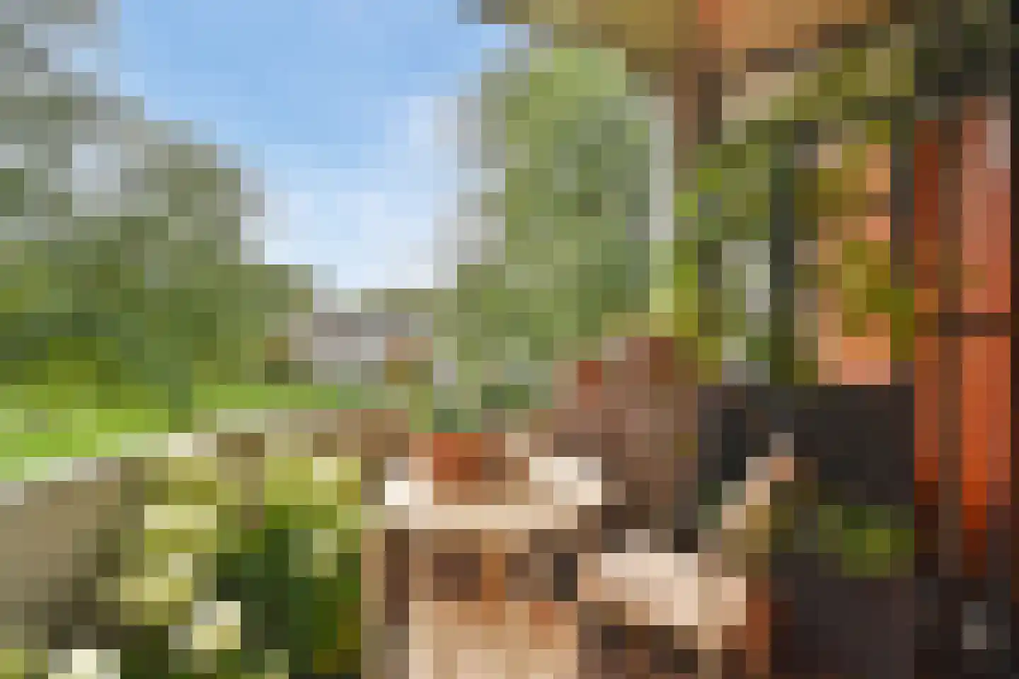 Het Hoogt 504 Amsterdam thumbnail 11