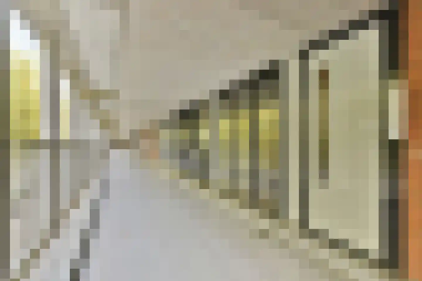 Het Hoogt 504 Amsterdam thumbnail 13
