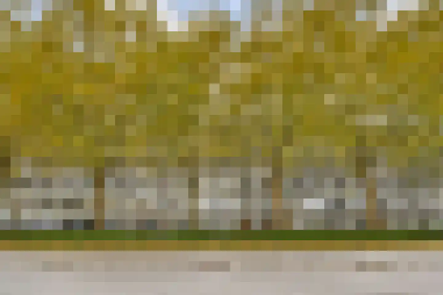 Het Hoogt 504 Amsterdam thumbnail 25