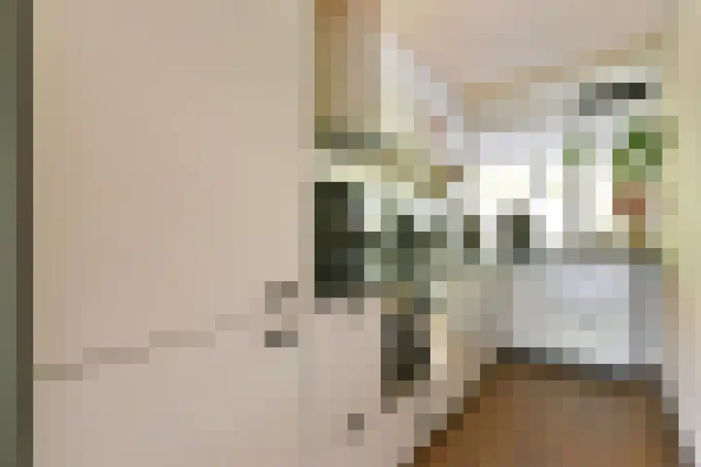 Het Hoogt 504 Amsterdam thumbnail 5