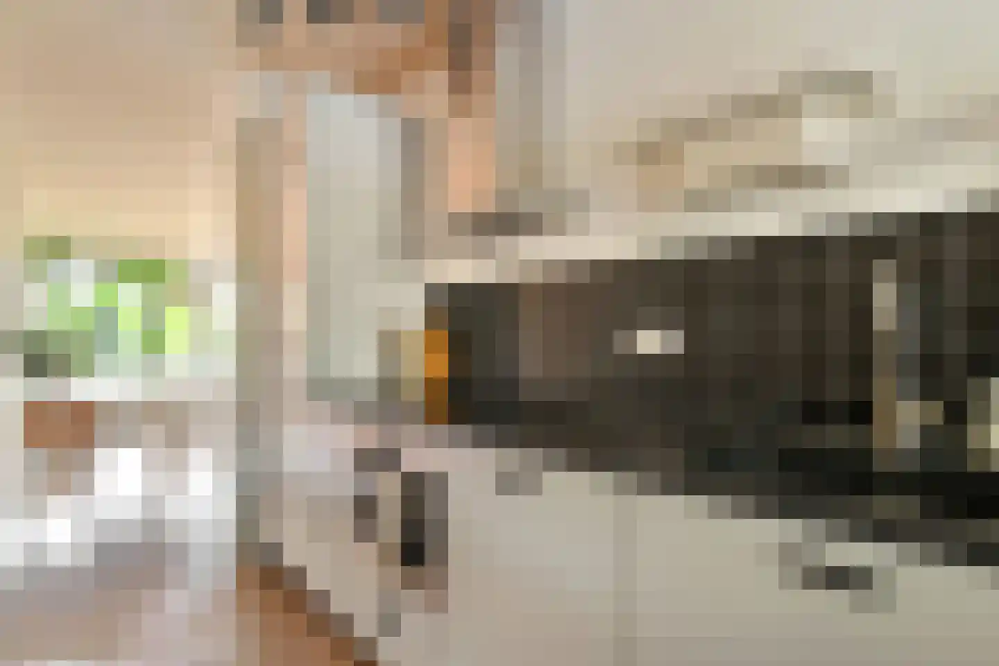 Het Hoogt 504 Amsterdam thumbnail 7