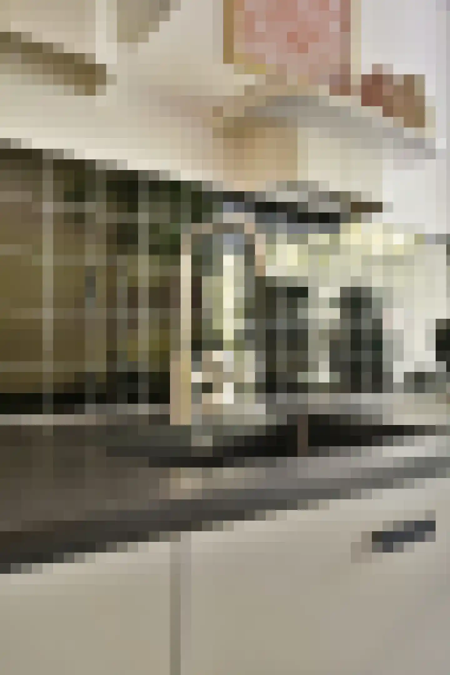 Het Hoogt 504 Amsterdam thumbnail 8