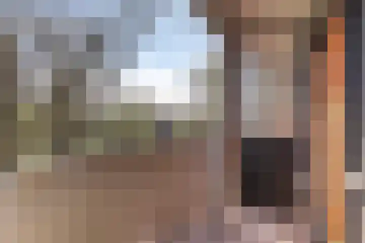 Het Hoogt 518 Amsterdam thumbnail 13