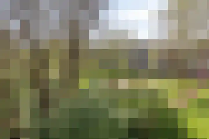 Het Hoogt 518 Amsterdam thumbnail 14