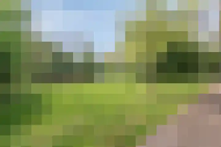 Het Hoogt 518 Amsterdam thumbnail 21