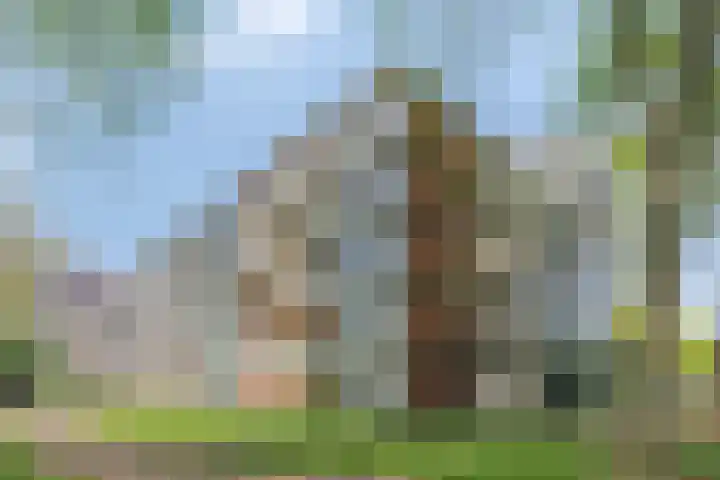 Het Hoogt 518 Amsterdam thumbnail 26