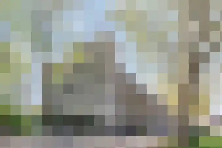 Het Hoogt 518 Amsterdam thumbnail 5