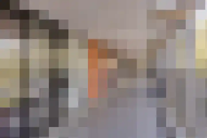 Het Hoogt 518 Amsterdam thumbnail 6