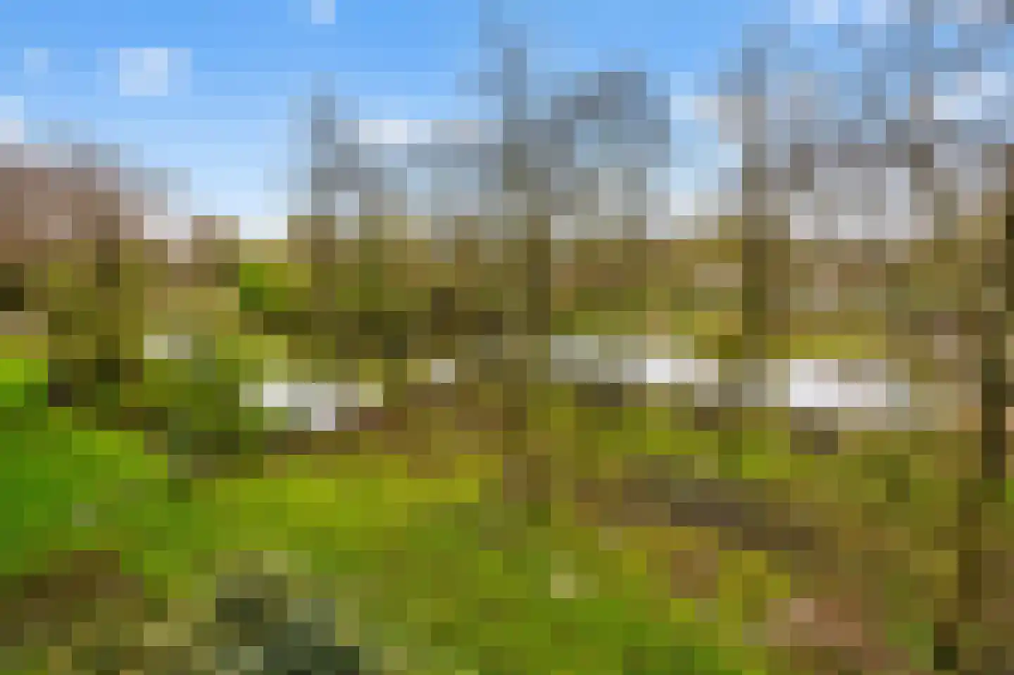 Het Hoogt 62 Amsterdam thumbnail 20