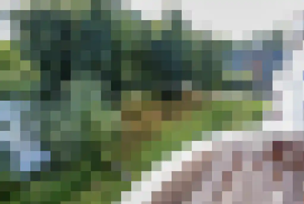 Het Hoogt 80 Amsterdam thumbnail 16