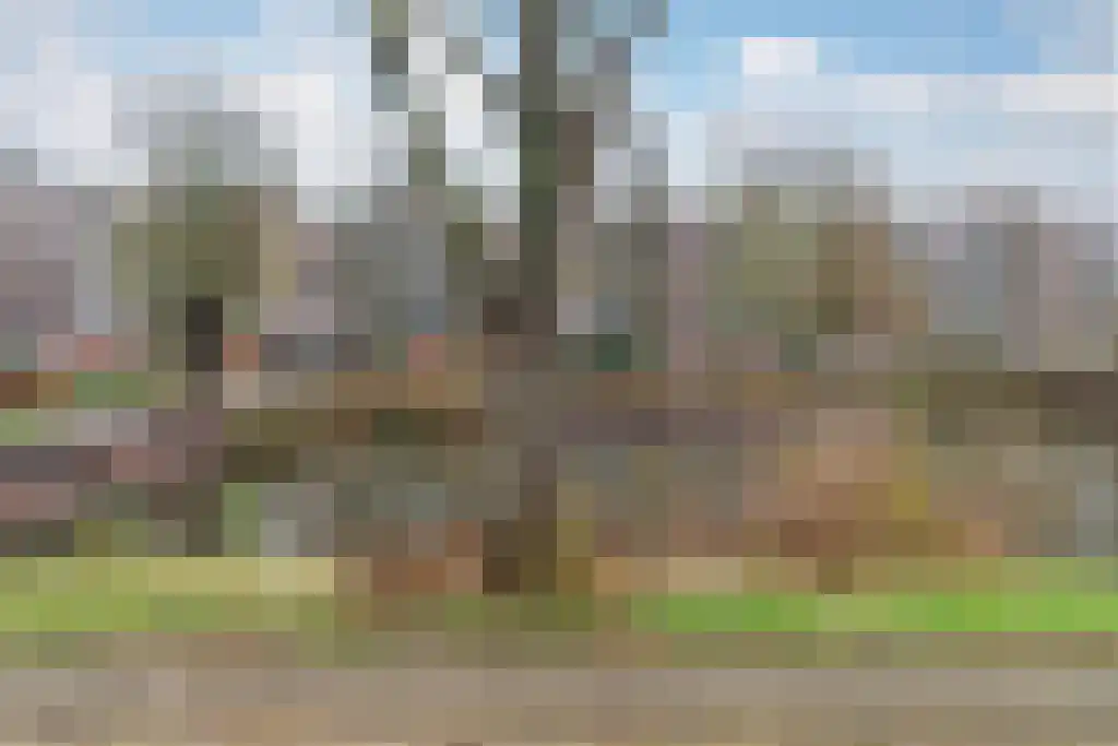 Het Hoogt 80 Amsterdam thumbnail 17