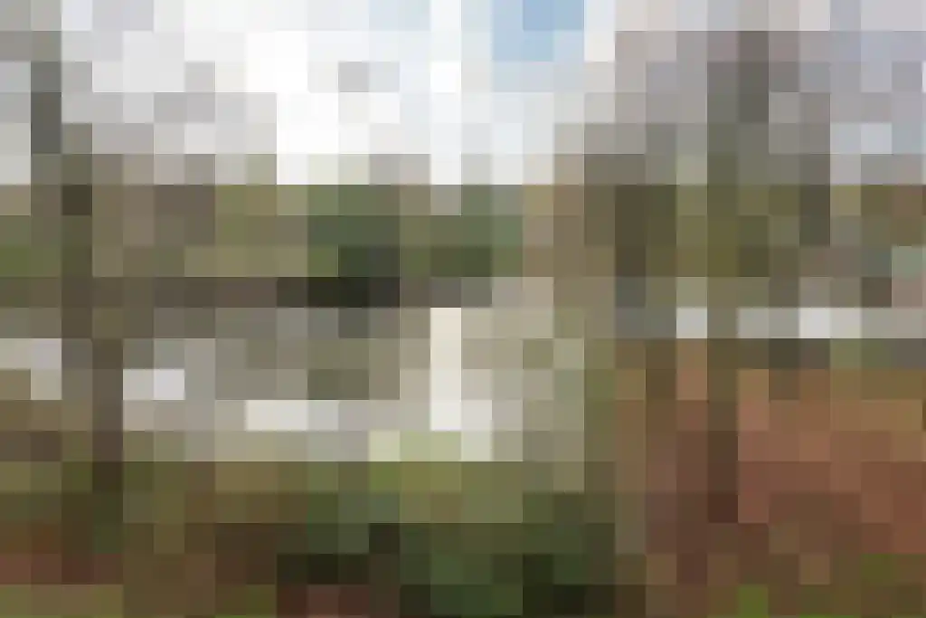 Het Hoogt 80 Amsterdam thumbnail 18