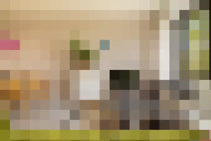 Het Hoogt 86 Amsterdam thumbnail 11