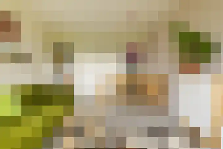 Het Hoogt 86 Amsterdam thumbnail 13