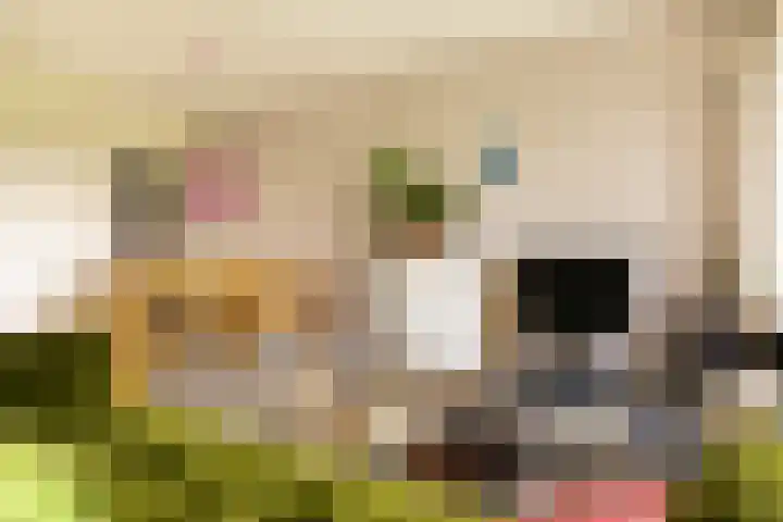 Het Hoogt 86 Amsterdam thumbnail 14