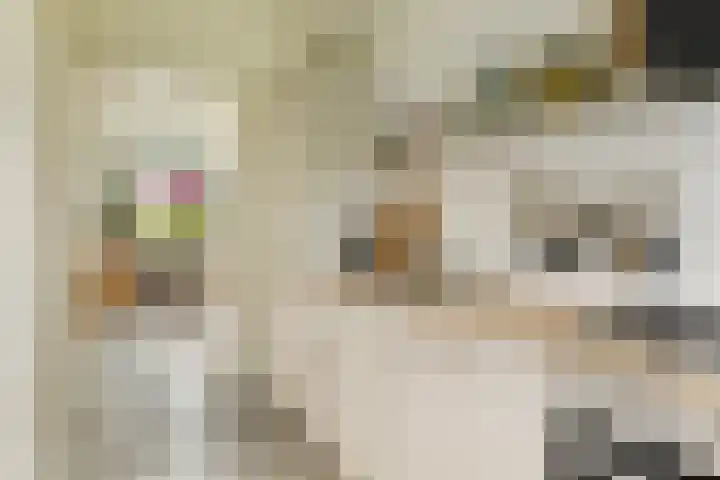 Het Hoogt 86 Amsterdam thumbnail 16