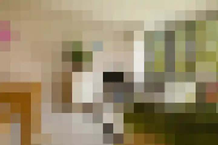 Het Hoogt 86 Amsterdam thumbnail 19