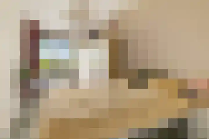 Het Hoogt 86 Amsterdam thumbnail 20