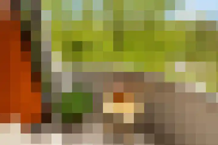Het Hoogt 86 Amsterdam thumbnail 21