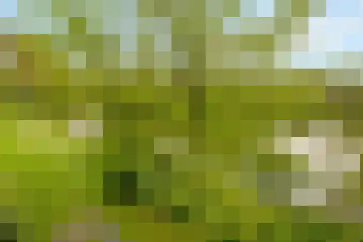 Het Hoogt 86 Amsterdam thumbnail 22