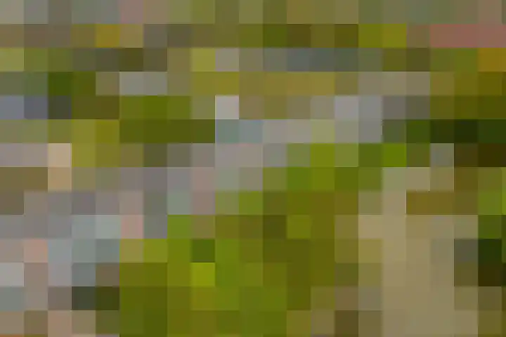 Het Hoogt 86 Amsterdam thumbnail 30