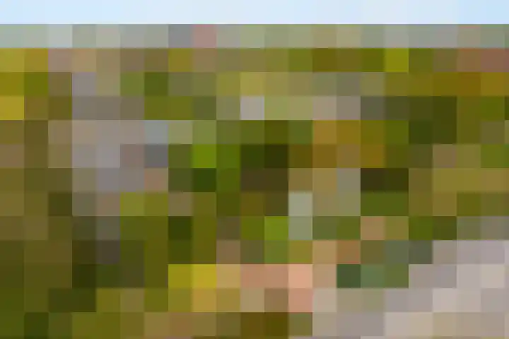 Het Hoogt 86 Amsterdam thumbnail 31