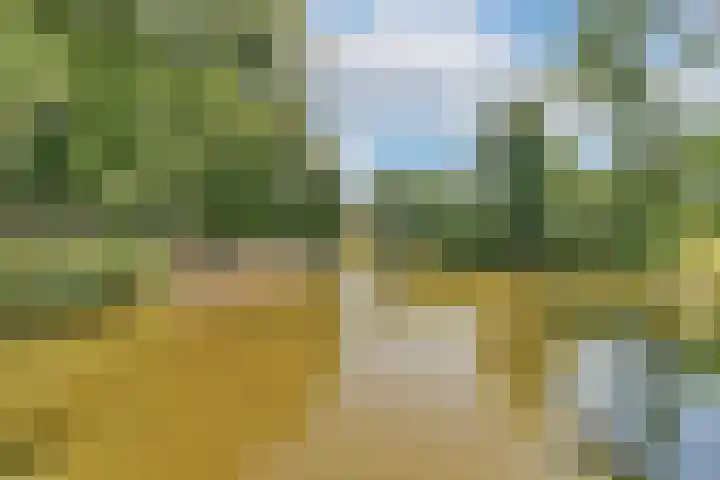 Het Hoogt 86 Amsterdam thumbnail 32