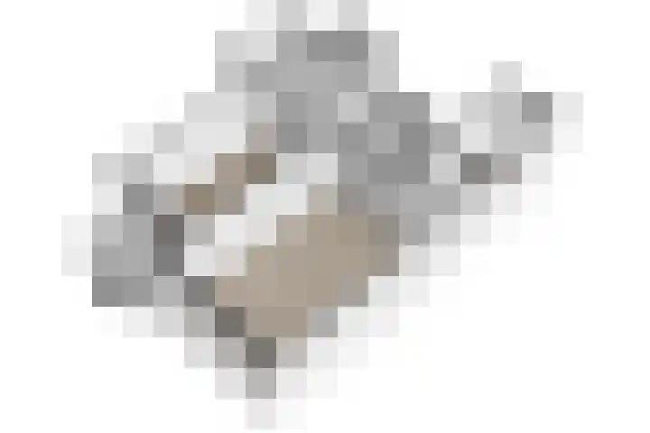 Het Hoogt 86 Amsterdam thumbnail 38