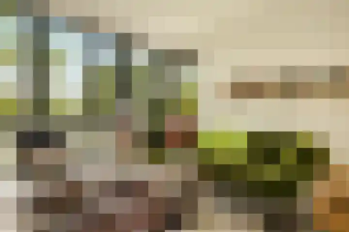 Het Hoogt 86 Amsterdam thumbnail 6