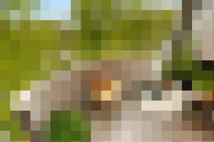 Het Hoogt 86 Amsterdam thumbnail 7