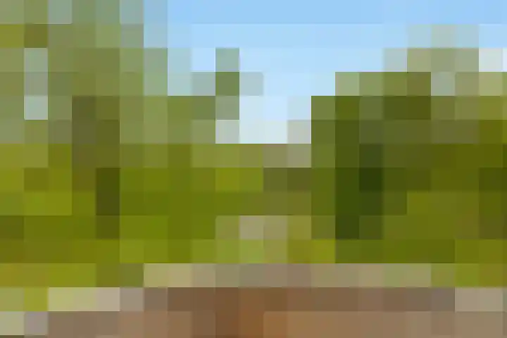 Het Hoogt 86 Amsterdam thumbnail 8