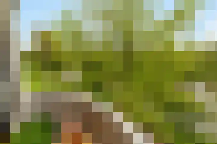 Het Hoogt 86 Amsterdam thumbnail 9