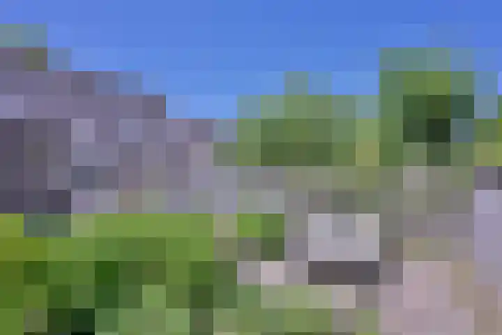 Het Hooiland 11 Schalkhaar thumbnail 14