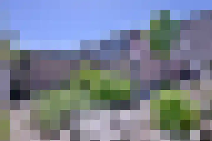 Het Hooiland 11 Schalkhaar thumbnail 15
