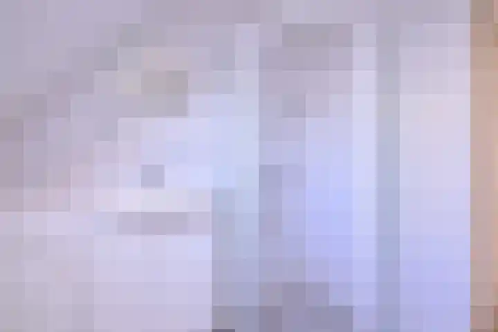 Het Hooiland 11 Schalkhaar thumbnail 23