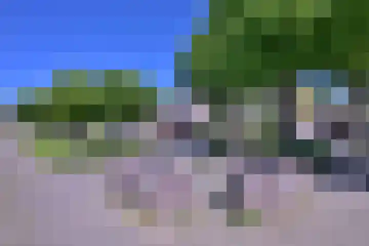 Het Hooiland 11 Schalkhaar thumbnail 25