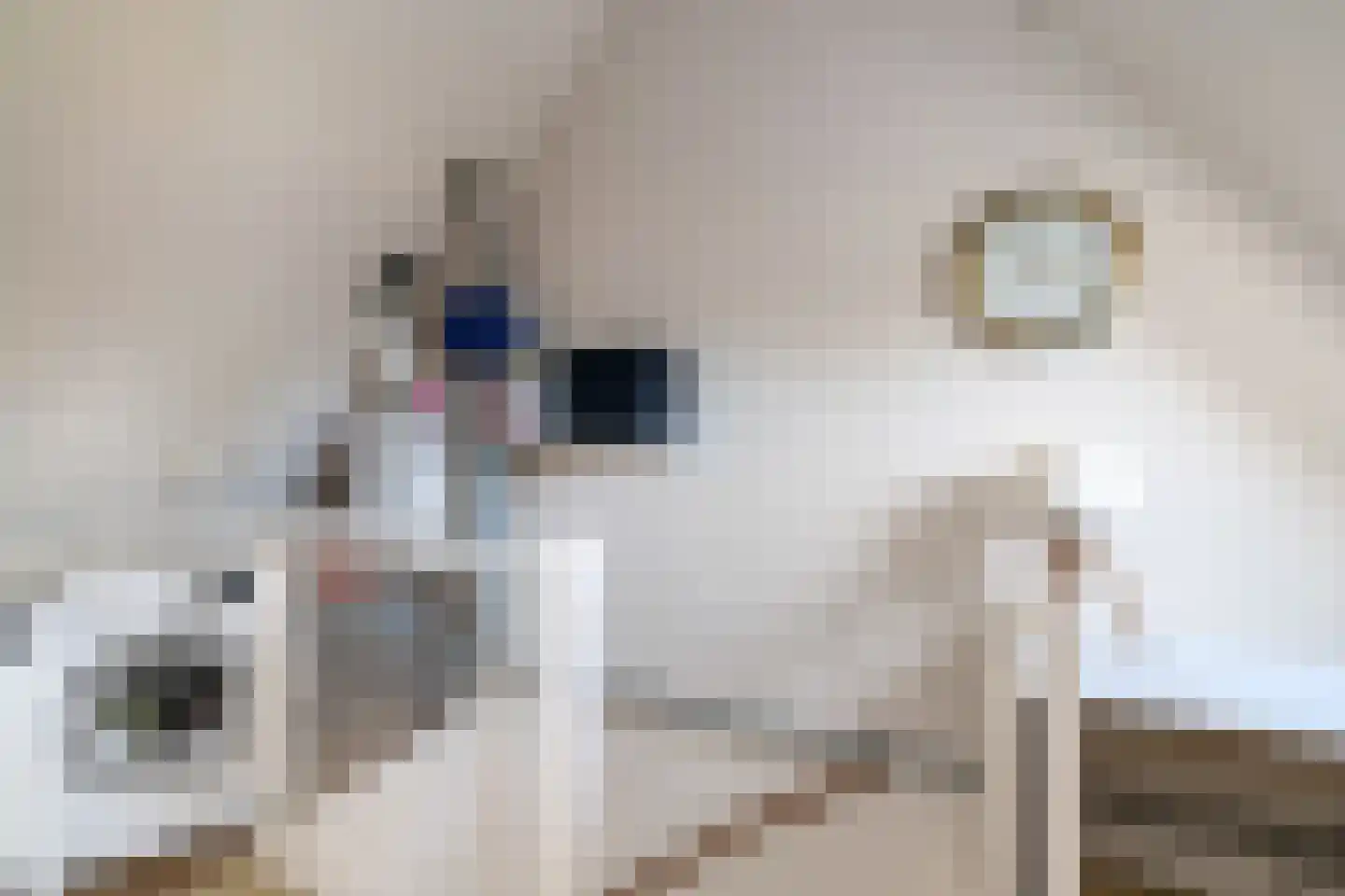 Het Hooiland 29 Schalkhaar thumbnail 21