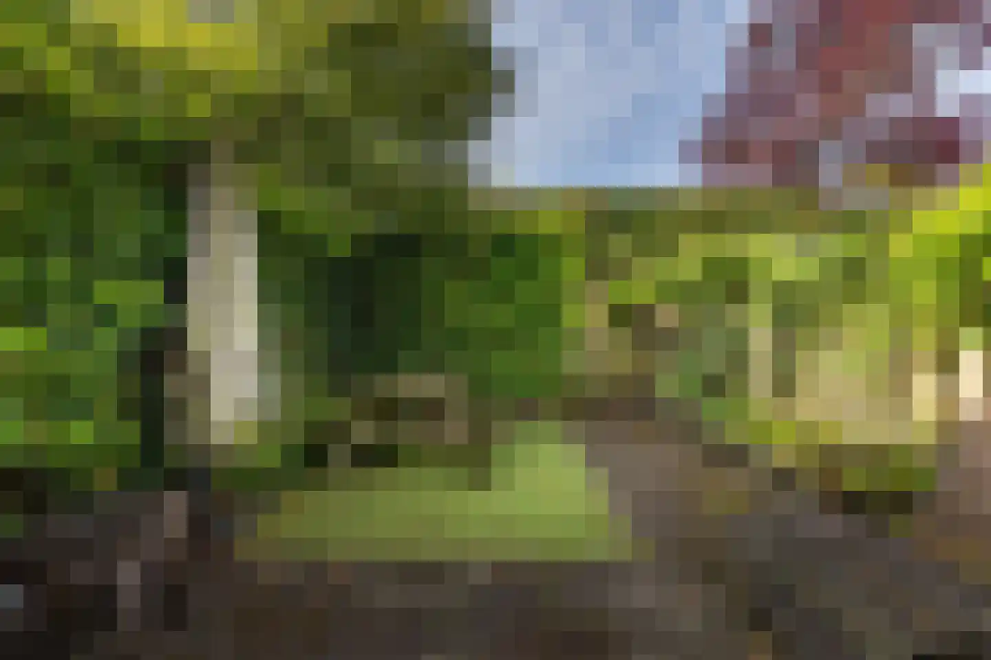 Het Hooiland 29 Schalkhaar thumbnail 23