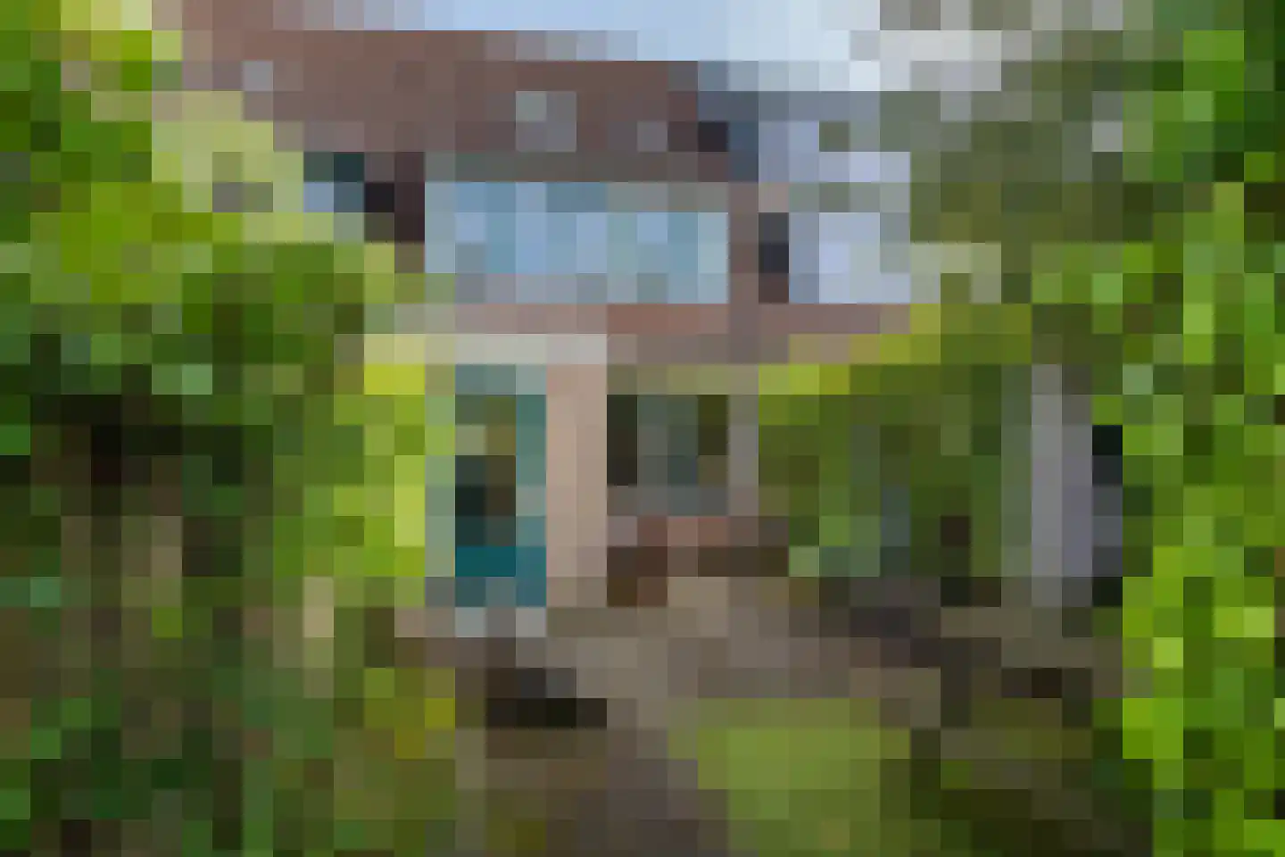 Het Hooiland 29 Schalkhaar thumbnail 24