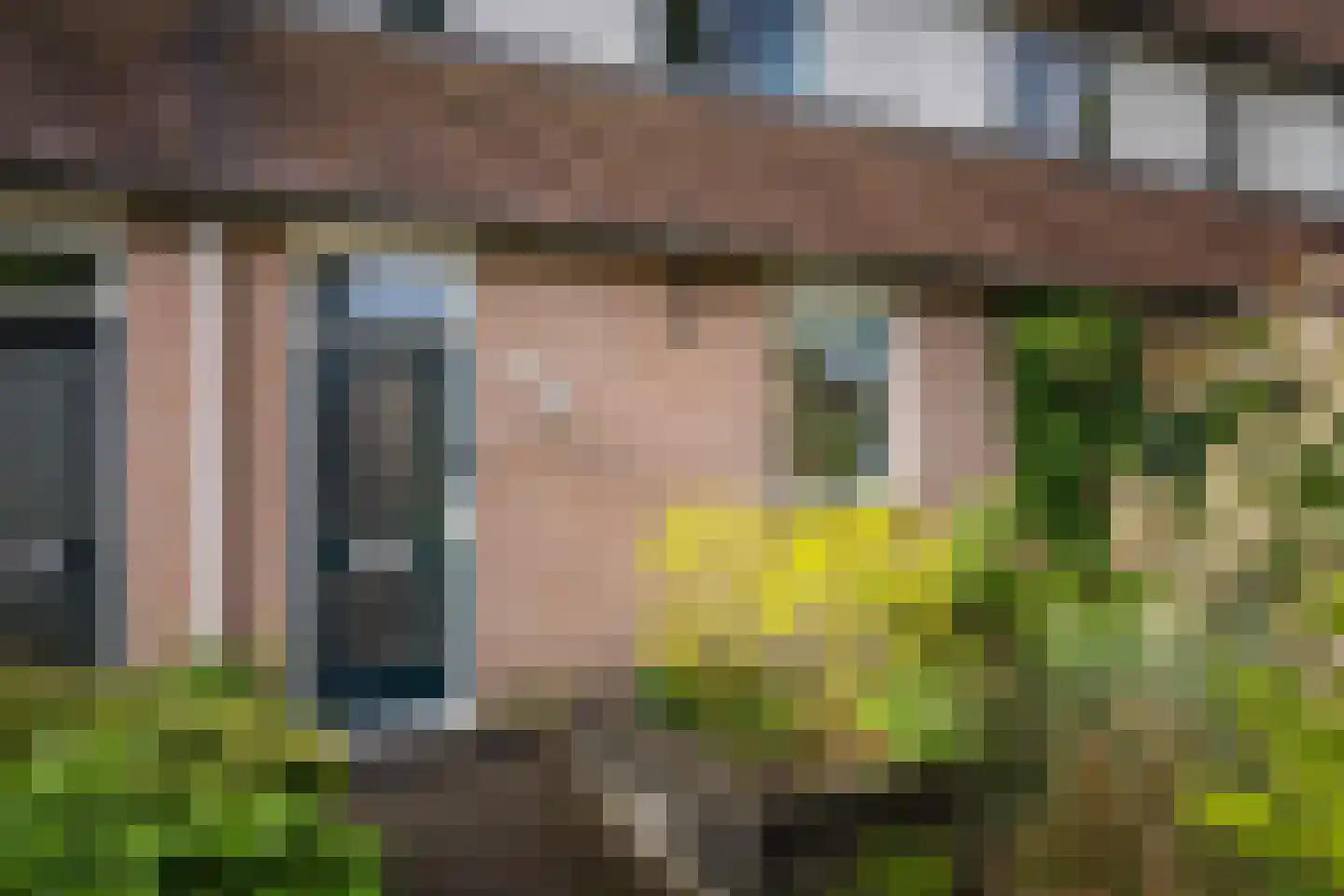 Het Hooiland 29 Schalkhaar thumbnail 27
