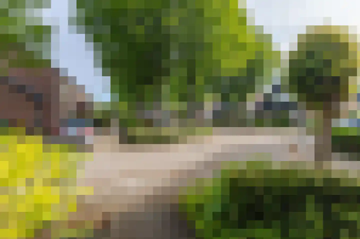 Het Hooiland 29 Schalkhaar thumbnail 28