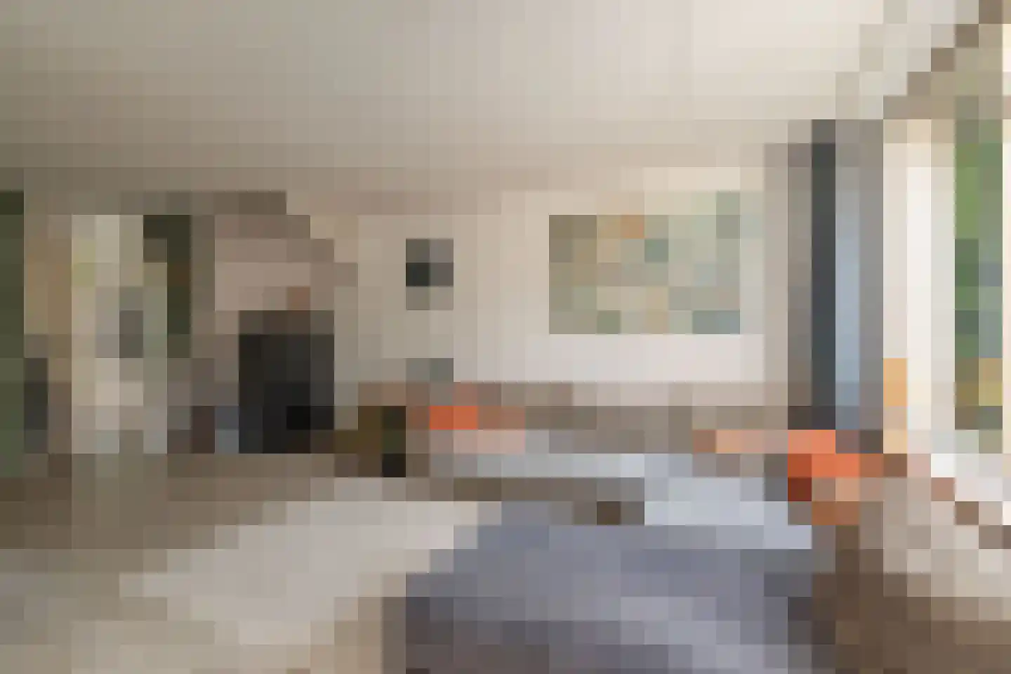 Het Hooiland 29 Schalkhaar thumbnail 4