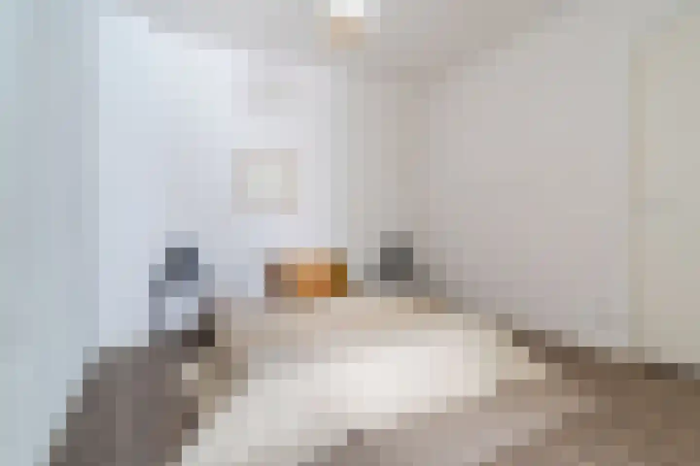 het Hool 1 D Helmond thumbnail 19