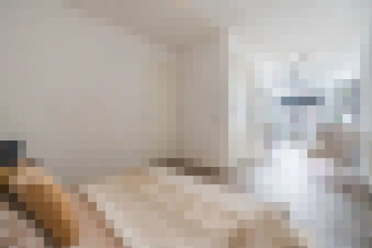 het Hool 1 D Helmond thumbnail 20