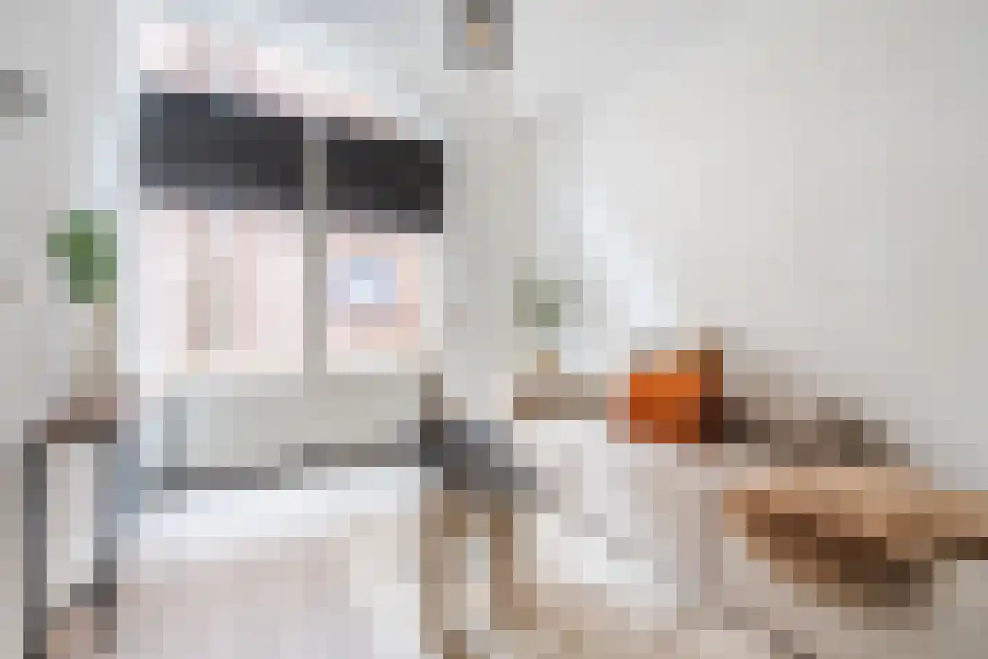 het Hool 1 D Helmond thumbnail 6