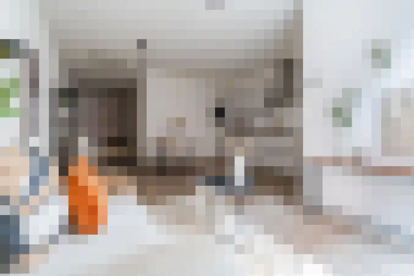 het Hool 1 D Helmond thumbnail 8
