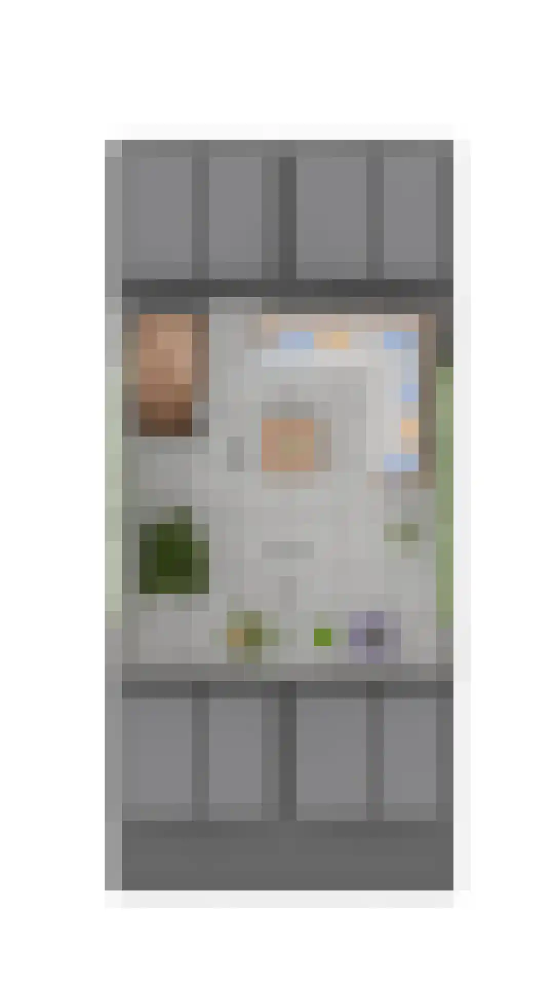 het Hool 6 B Helmond thumbnail 7